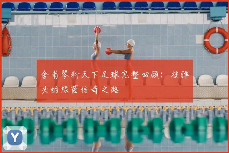 舍甫琴科天下足球完整回顾：核弹头的绿茵传奇之路