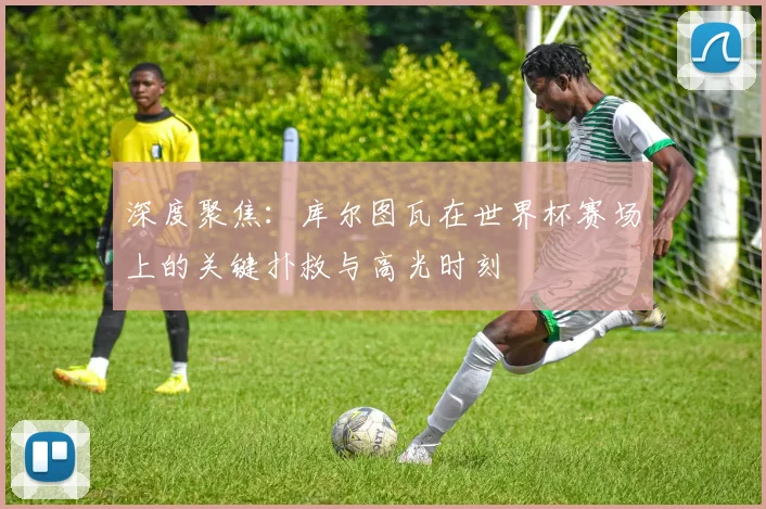 深度聚焦：库尔图瓦在世界杯赛场上的关键扑救与高光时刻