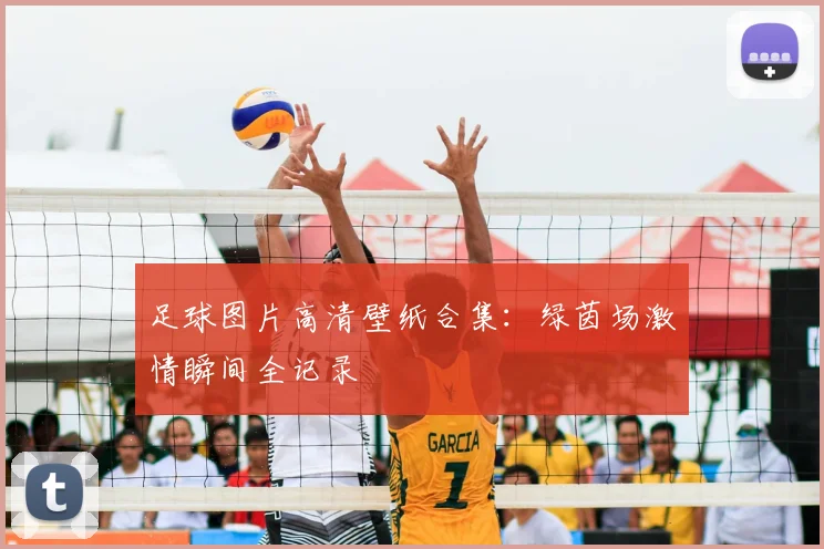 足球图片高清壁纸合集：绿茵场激情瞬间全记录